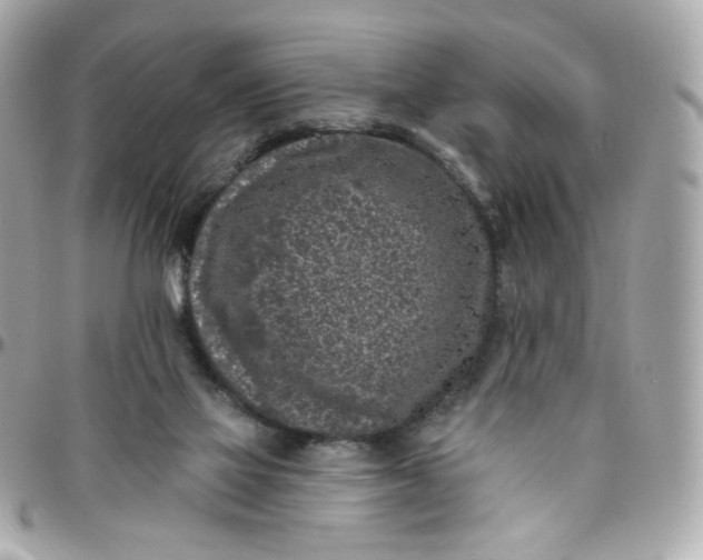 X0000096210069200802011330