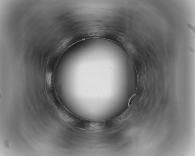 X0000096210070200802011330