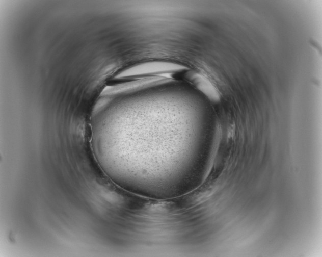 X0000096210072200802011330