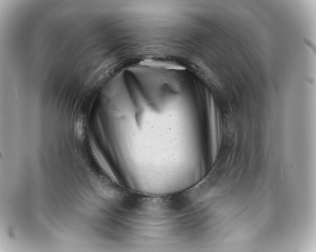 X0000096210074200802011330