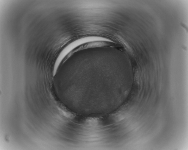 X0000096210076200802011330