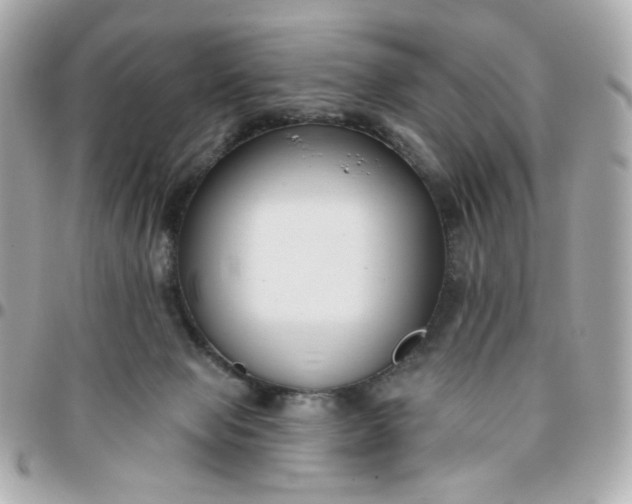 X0000096210077200802011330