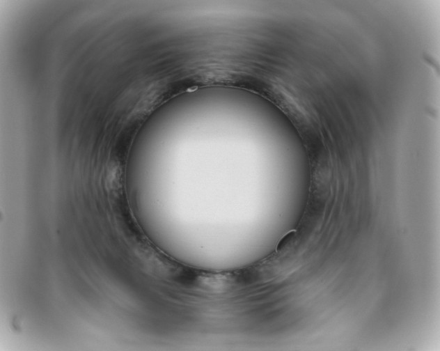 X0000096210079200802011330