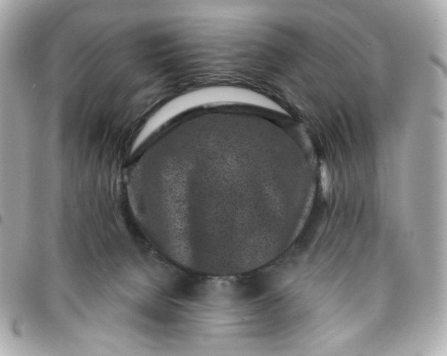 X0000096210080200802011330