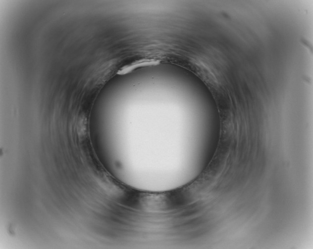 X0000096210081200802011330