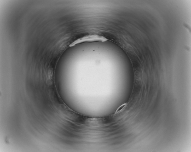 X0000096210082200802011330