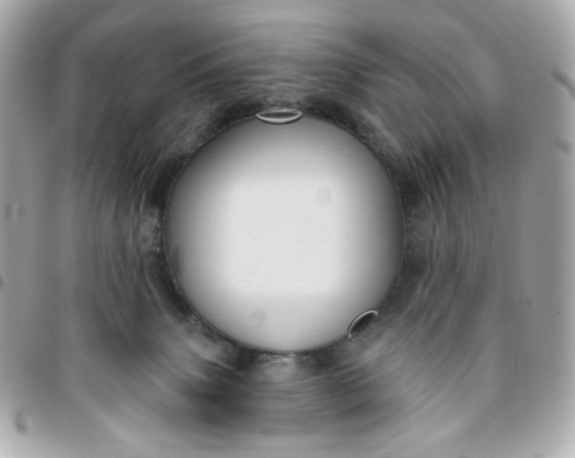 X0000096210083200802011330