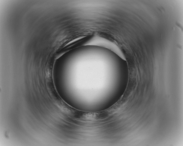 X0000096210084200802011330