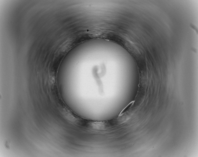 X0000096210085200802011330