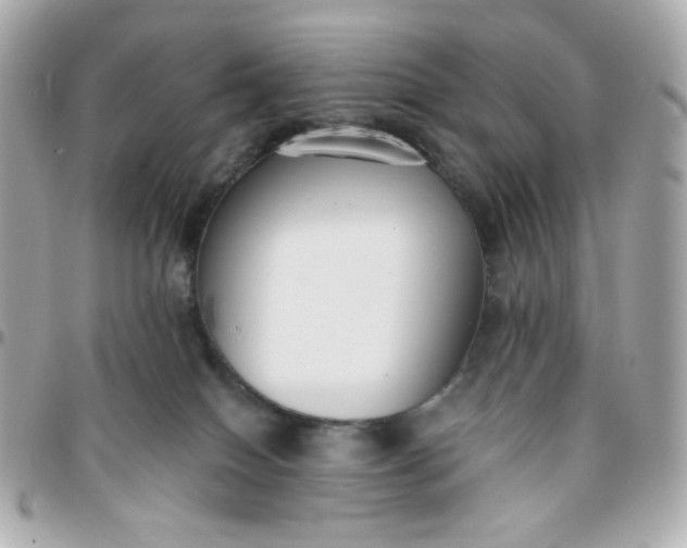 X0000096210086200802011330