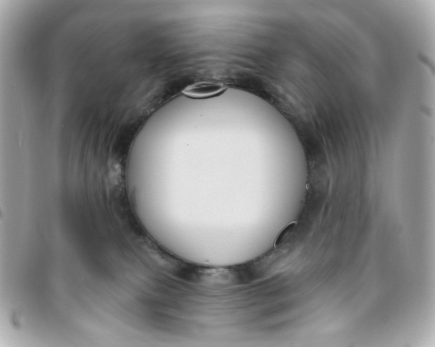 X0000096210087200802011330