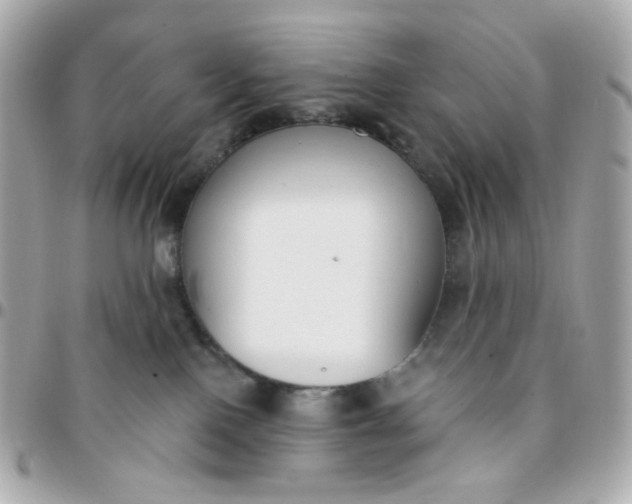 X0000096210090200802011330