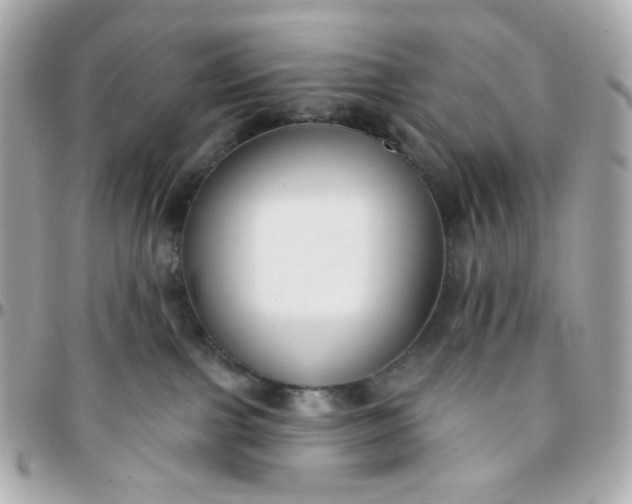 X0000096210091200802011330