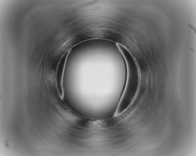 X0000096210092200802011330