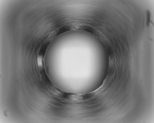 X0000096210094200802011330