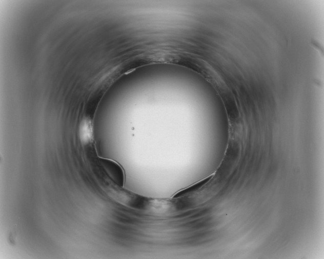 X0000096210095200802011330