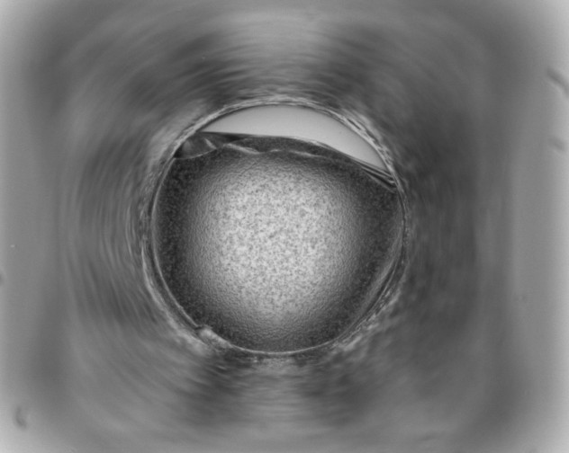 X0000096210097200802011330