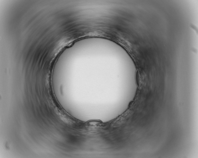 X0000096210098200802011330