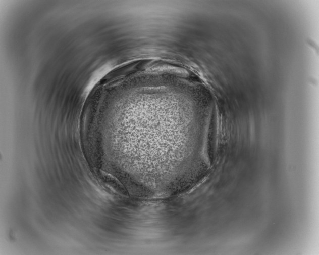 X0000096210099200802011330