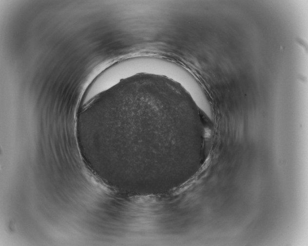 X0000096210100200802011330