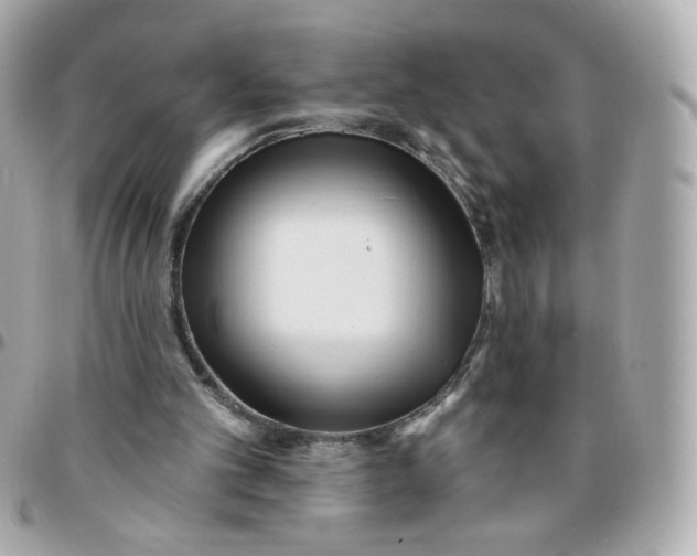 X0000096210101200802011330