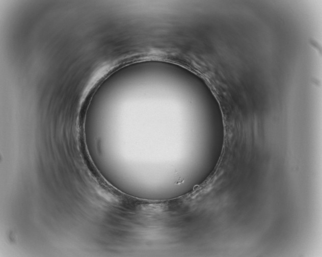 X0000096210102200802011330