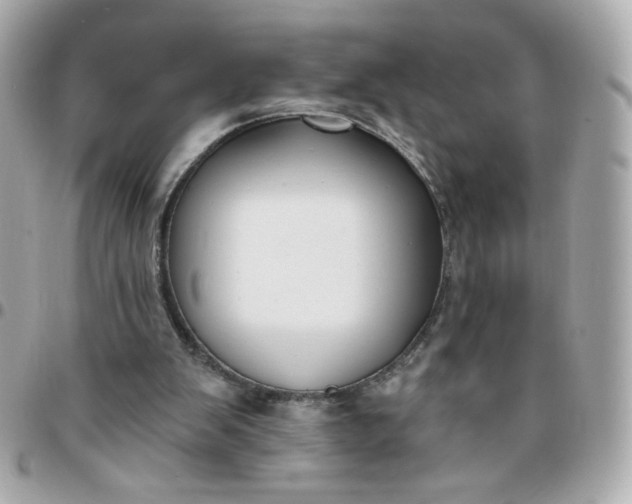 X0000096210103200802011330