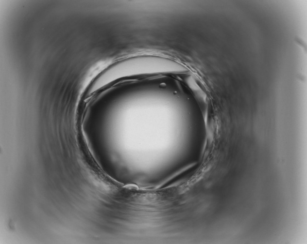 X0000096210104200802011330