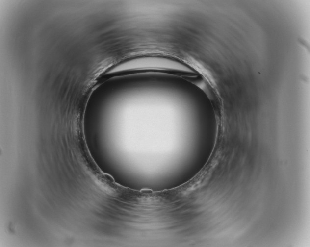 X0000096210105200802011329