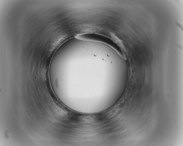 X0000096210106200802011329