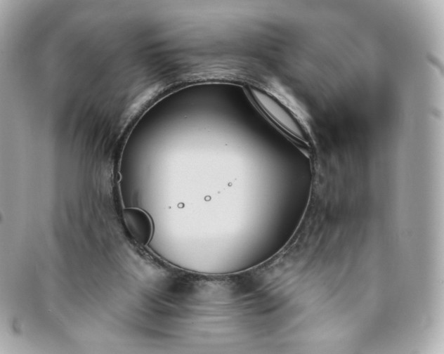 X0000096210107200802011329