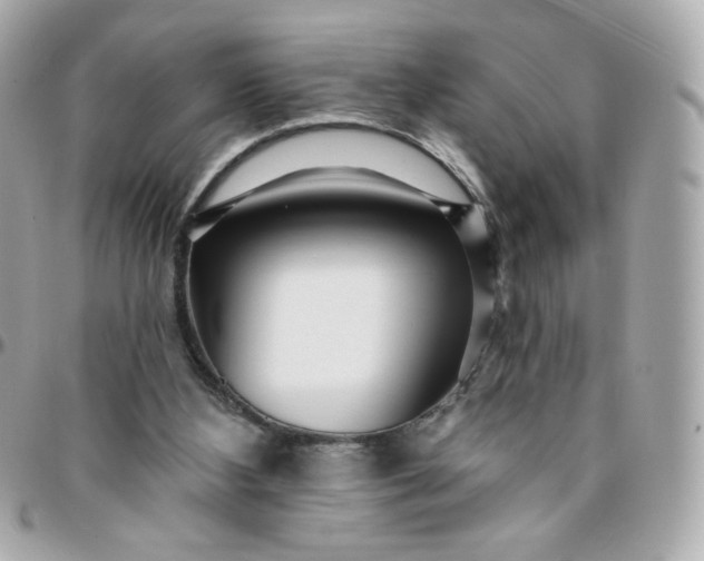 X0000096210108200802011329