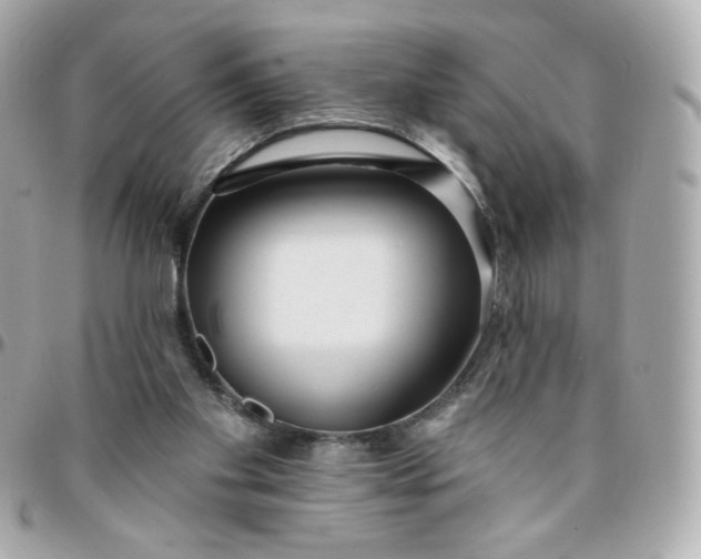 X0000096210109200802011329