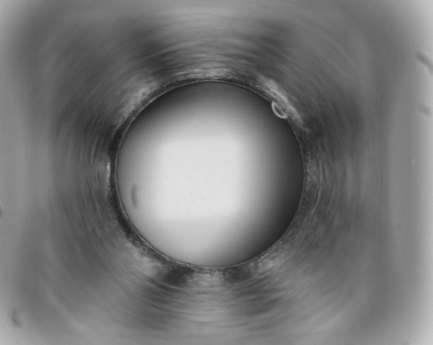 X0000096210110200802011329