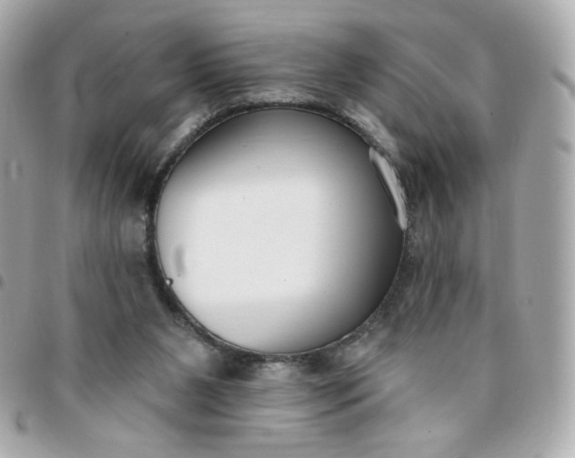 X0000096210111200802011329