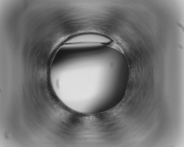 X0000096210112200802011329