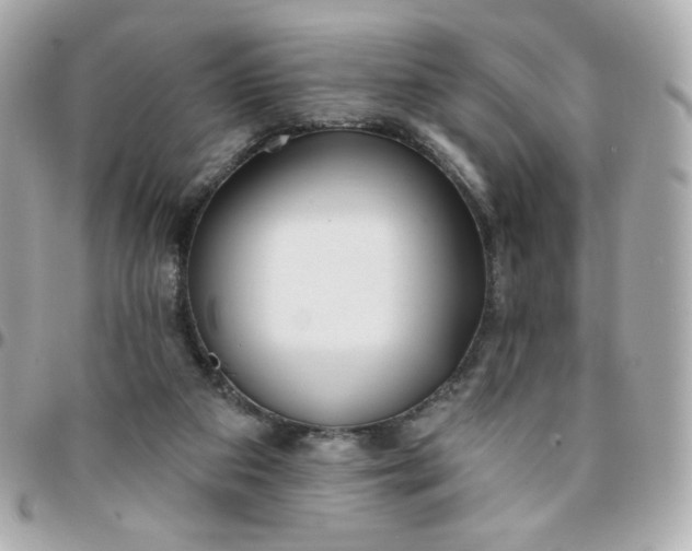 X0000096210113200802011329