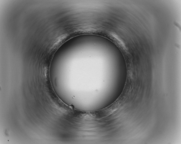 X0000096210115200802011329