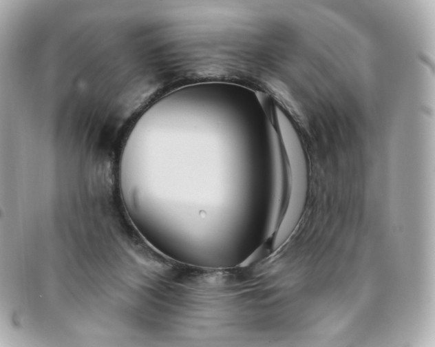 X0000096210116200802011329