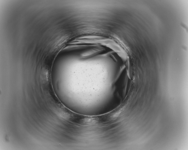 X0000096210117200802011329