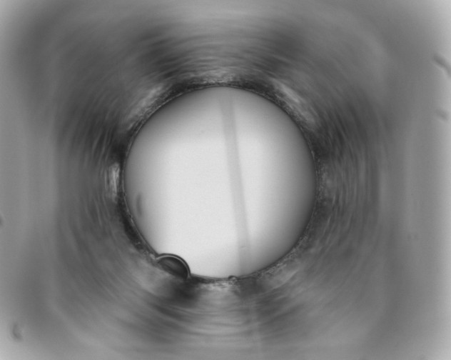 X0000096210118200802011329