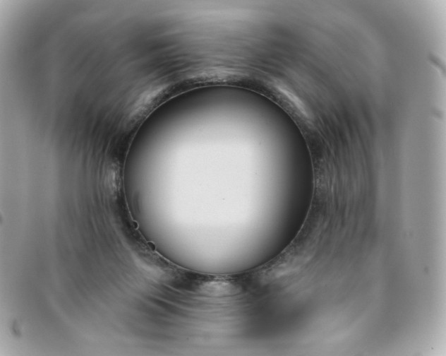 X0000096210119200802011329