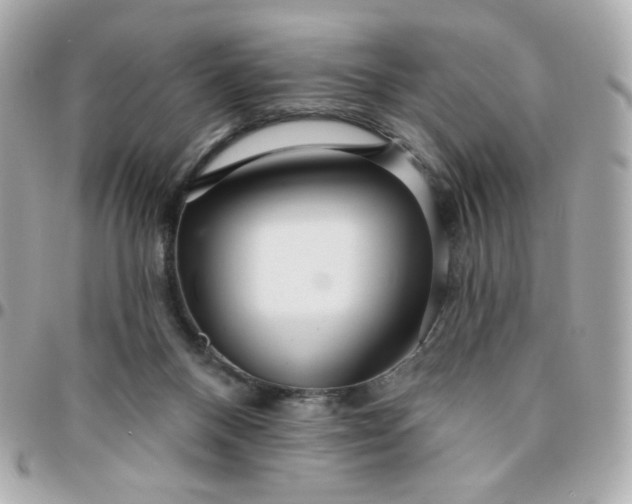 X0000096210120200802011329