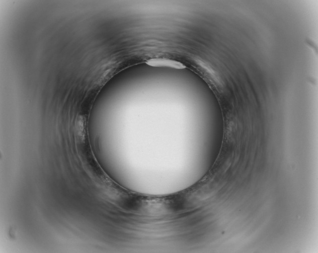 X0000096210121200802011329