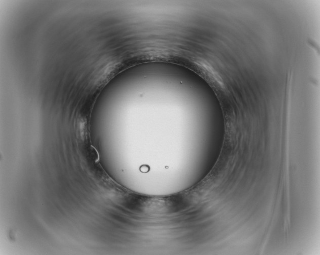 X0000096210123200802011329