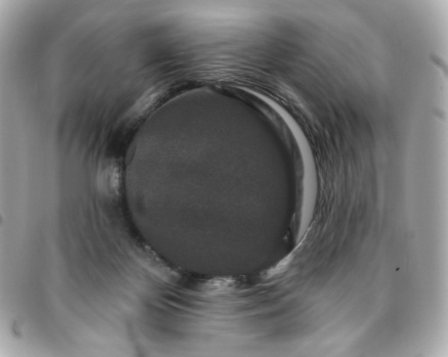 X0000096210124200802011329