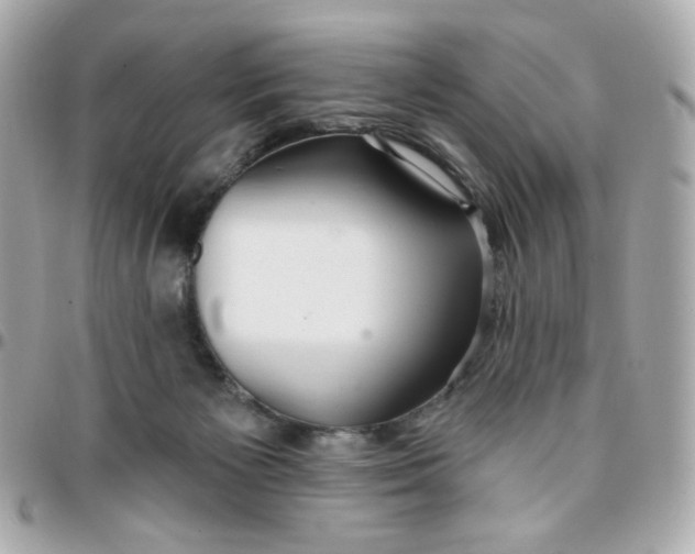 X0000096210125200802011329