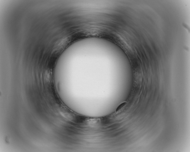 X0000096210126200802011329