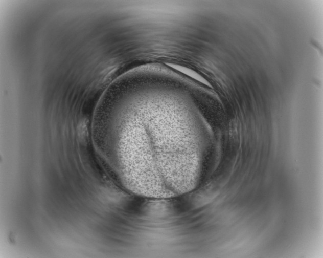 X0000096210127200802011329