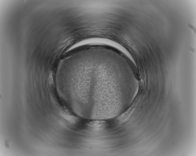 X0000096210128200802011329